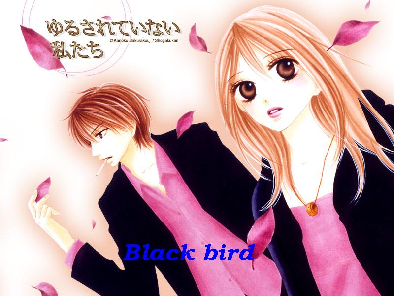 Black Bird 07_02.jpg